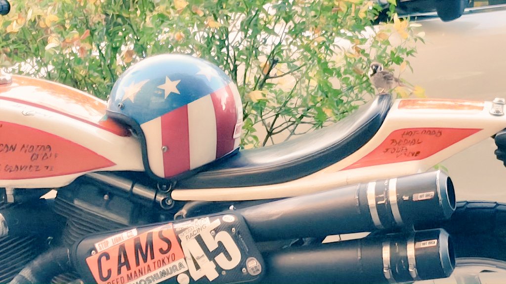 くろすけ (@kazuya_hr4v) / Posts / X