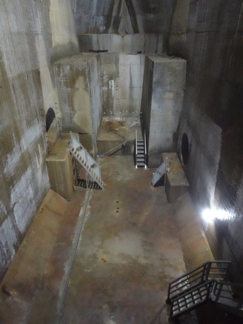 FedeItaliano76's tweet image. What is it? First thought, no Googling or Groking