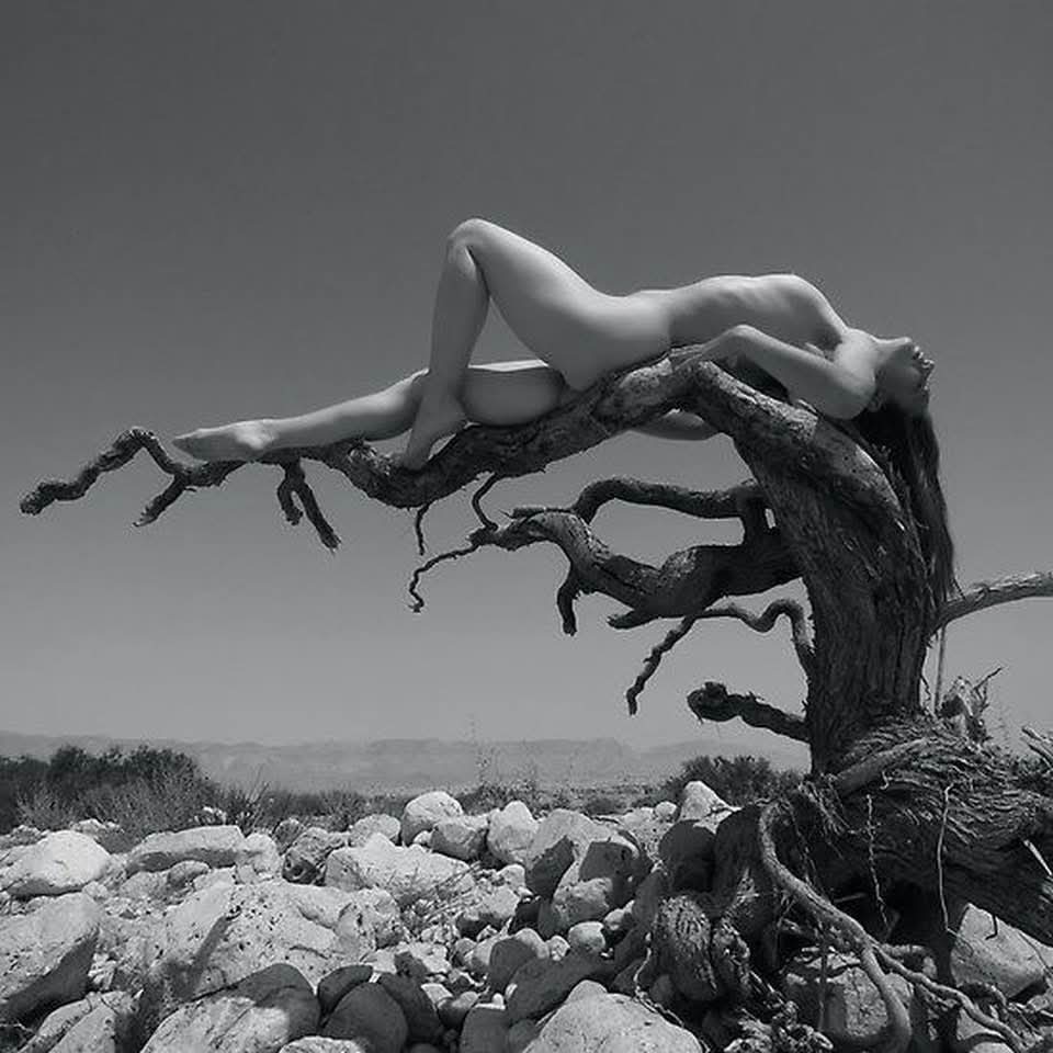 Serifilm2's tweet photo. #Photographers
Viki Kollerová https://t.co/AfLJ1bUGHz