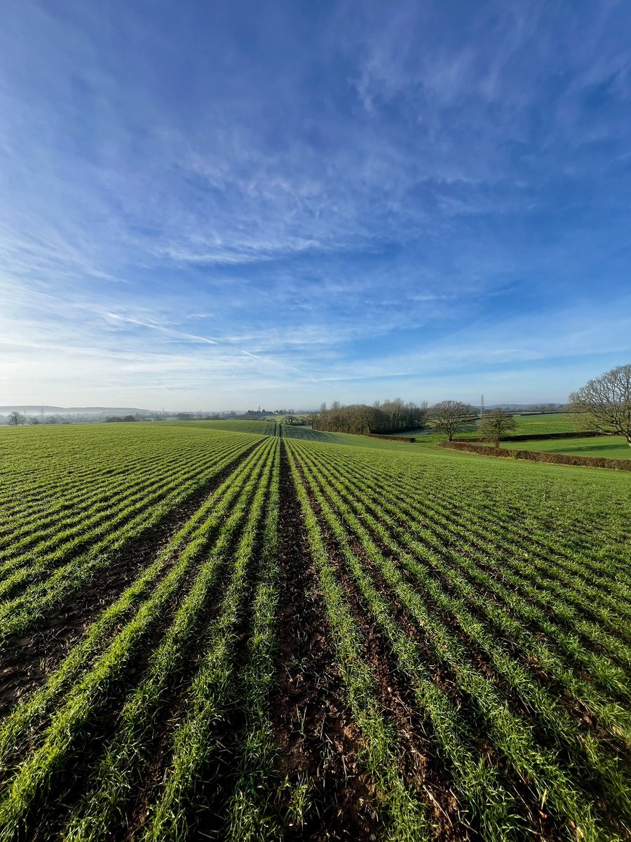 Richard Payne tweet media