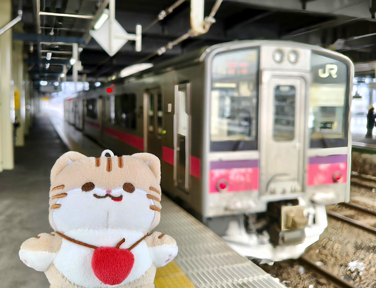 つがにゃんを迎えに弘前へ😃😺 #JR東日本秋田支社 #弘前