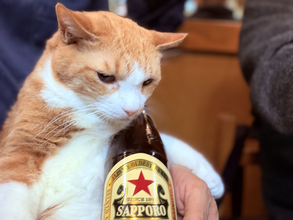 ろっち (@kumax_r) / Posts / X