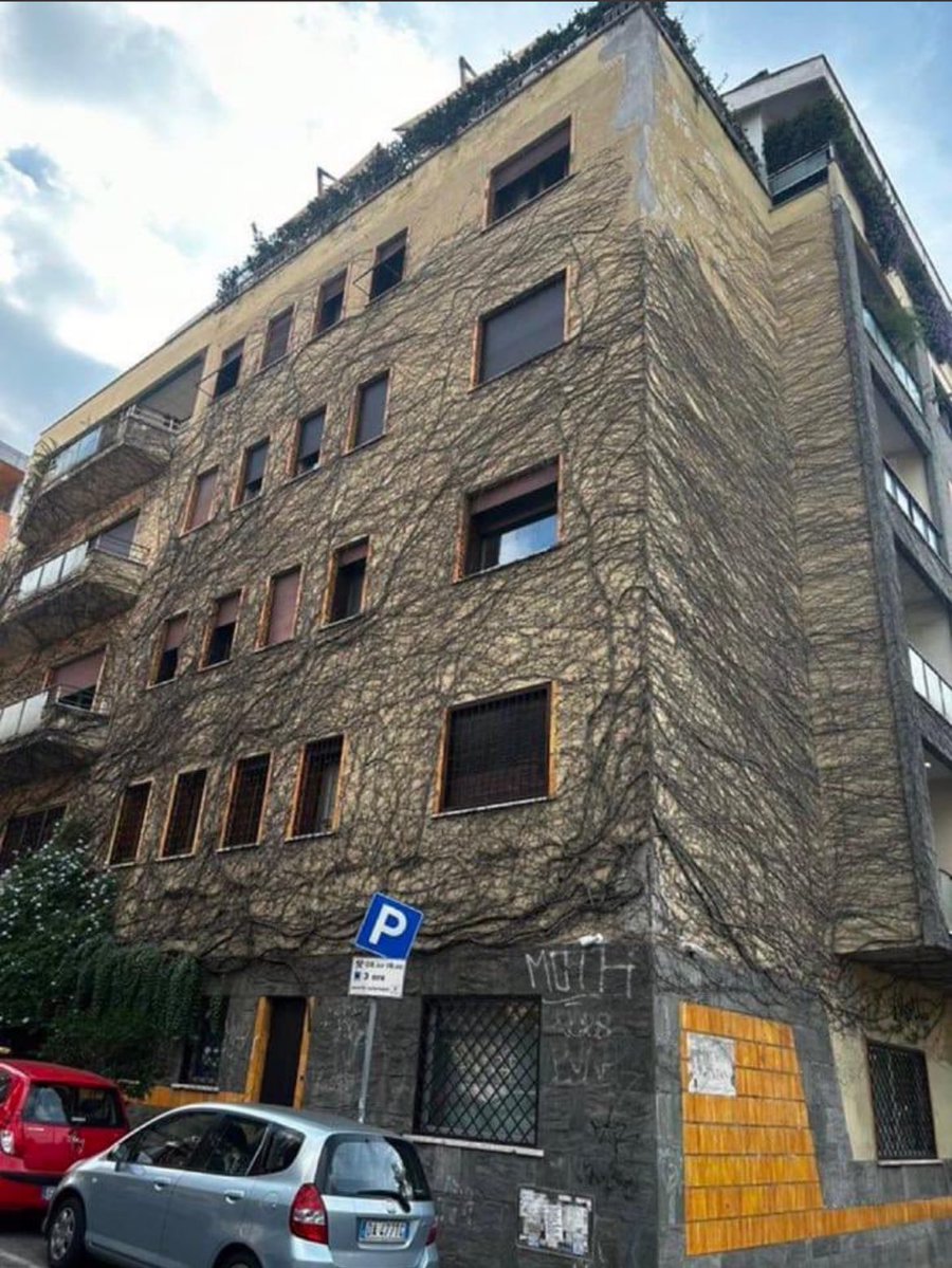 eski sevgilim esmerdi esmerdi esmerdi amma ve lakin bel kısmı bu şekildeydi olsun yine de ben esmer kromokano diye aşıktım ona