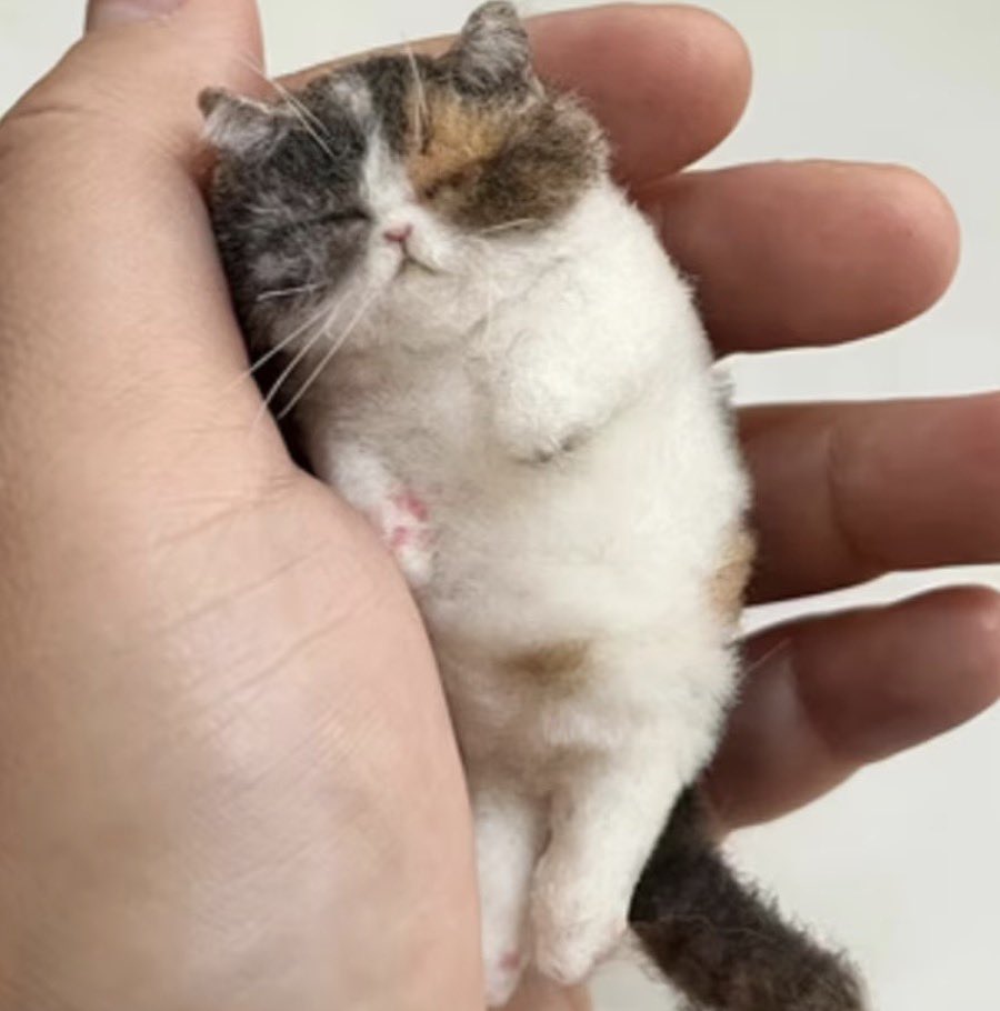 who ate all the pussy?