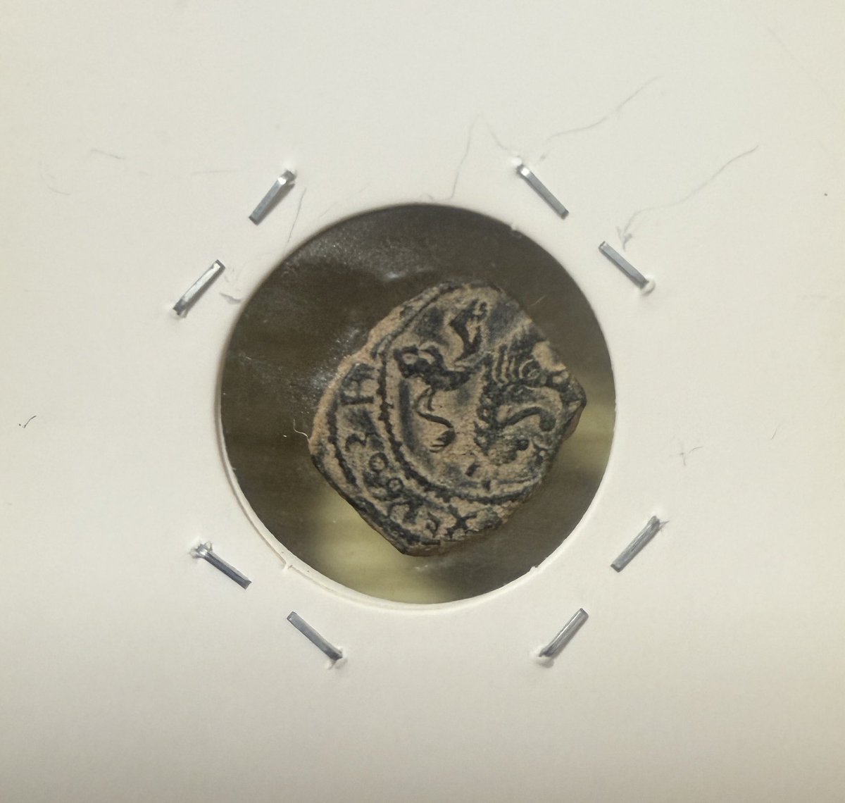 ポン太 (@totokoponpon) / Posts and Replies / X