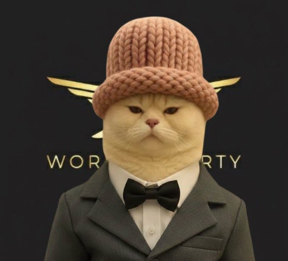 Purrloom tweet media