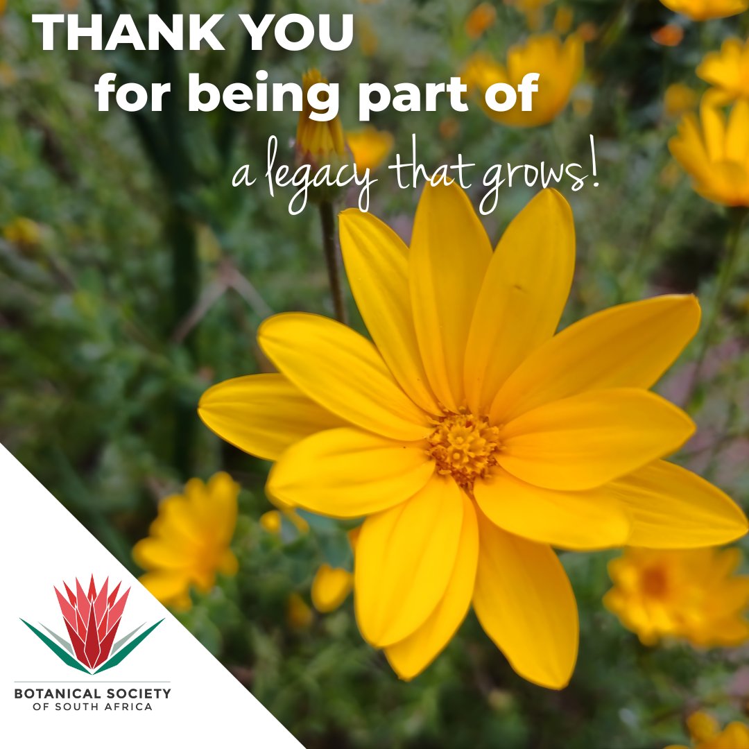 BotSocSA tweet media