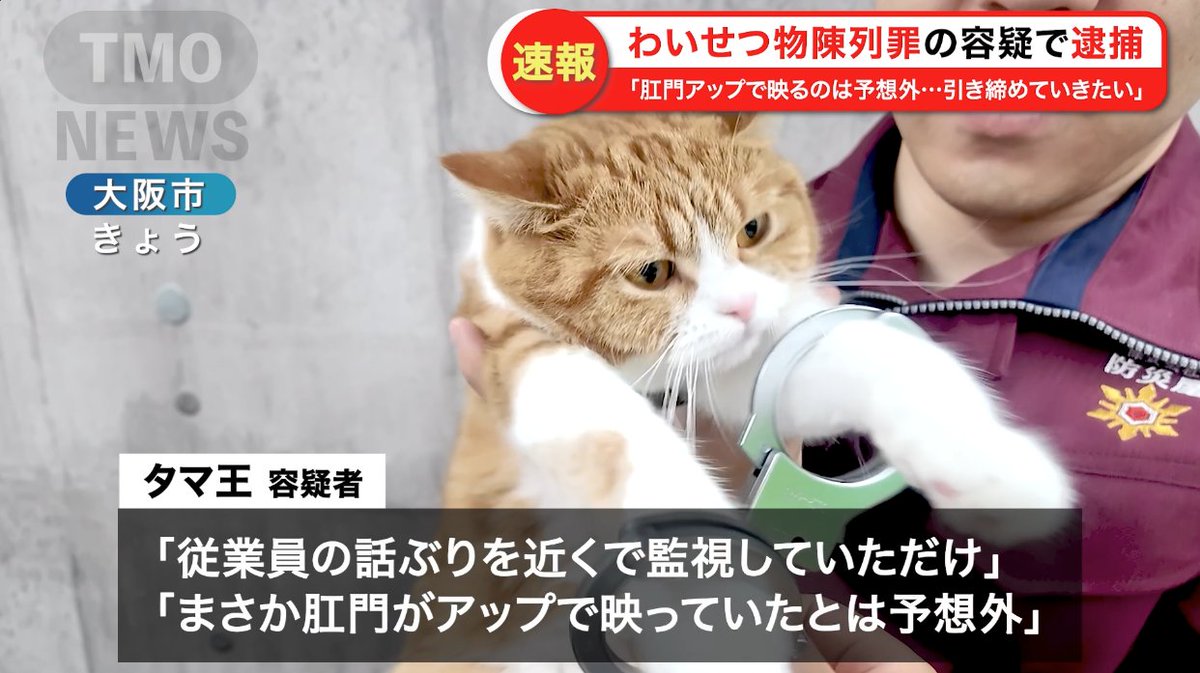 tamago様 ご確認くださいm(_ _)m tamago様ご確認くださいm(_ _)m