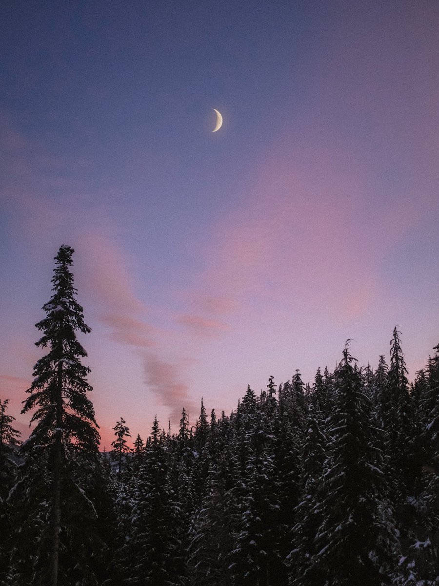 early mornings in the mountains.