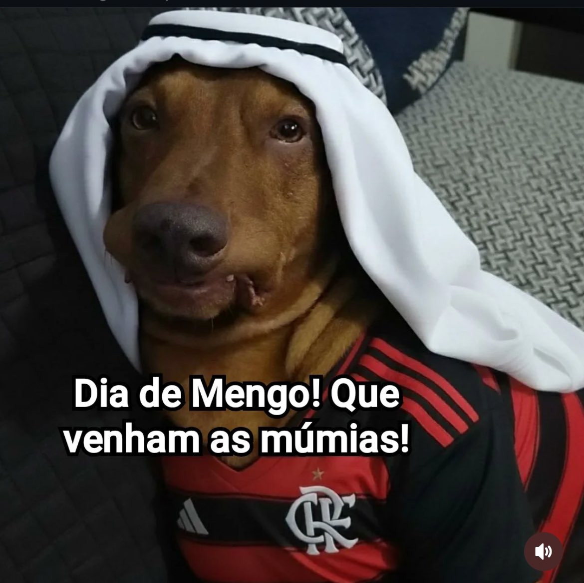 VAMOO MENGOOO