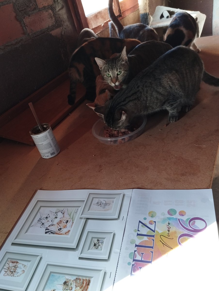 CALENDARIOS SOLIDARIOS POR SOLO 6€!! 
HACEMOS ENVÍOS A TODA ESPAÑA.
SOLO HAY 50 UNIDADES!!!