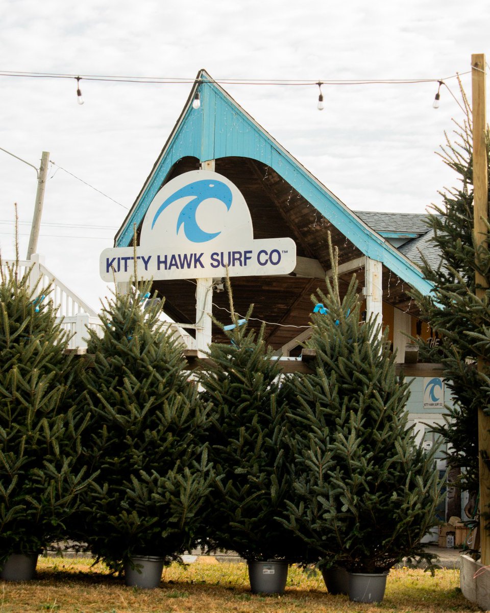 Our Christmas tree sale is still going on! These are Fraser Fir, locally grown NC Christmas trees, available at our Duck and Nags Head locations. We'll be selling them until we run out! 🎄🌊✨