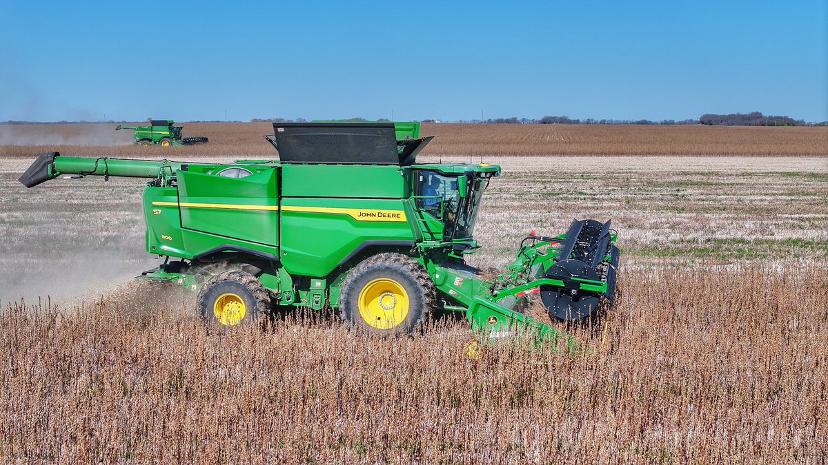 LindsayKimbrell's tweet photo. Sesame Farmin
#sesame #deeresighting #sesaco https://t.co/mY6pRsEBmJ