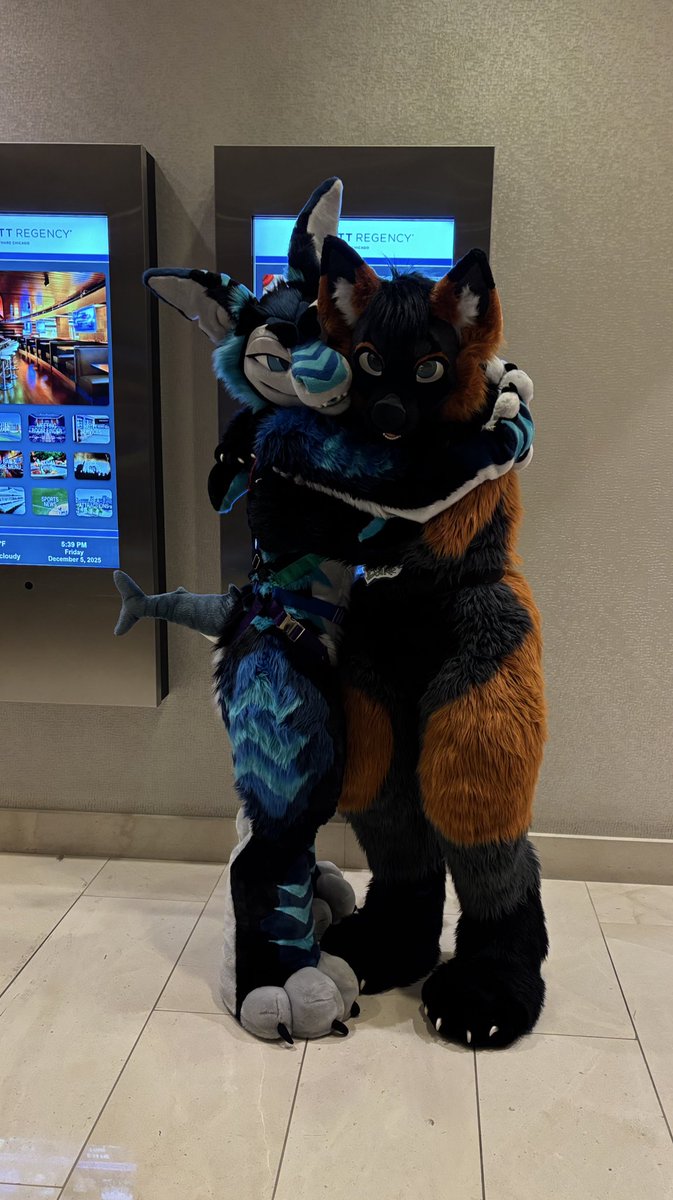 Razz/Reef 🦈🦊 🔜 MFF tweet media