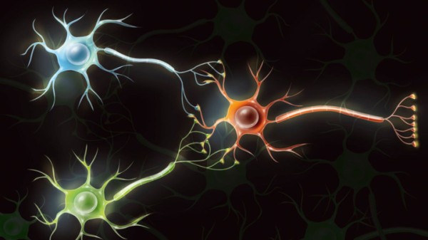 ArdenResourcing's tweet photo. Biocomputers: Scientists are turning human brain cells into functional computers #Ardenresourcing #Biocomputers https://t.co/J1s9ZM7OWk https://t.co/3TsC40YOuW