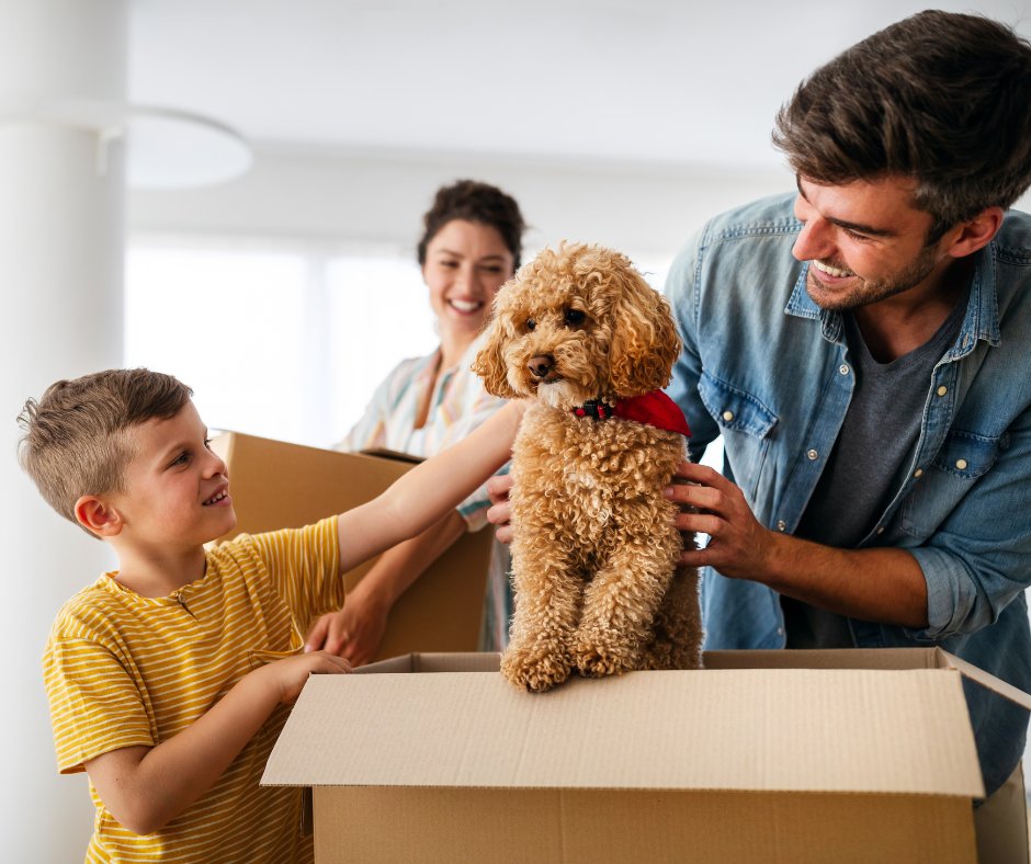 clearchoice_win's tweet photo. Looking for a new home or planning a home remodel? Clear Choice Windows and More is proud to be an authorized dealer of PGT®.

#newhome #moving #remodel #homerenovation #homeremodel #homeproject #homeupdate
#homeimprovement #renovation #homedesign #improveyourhome https://t.co/nwdPHs4klb