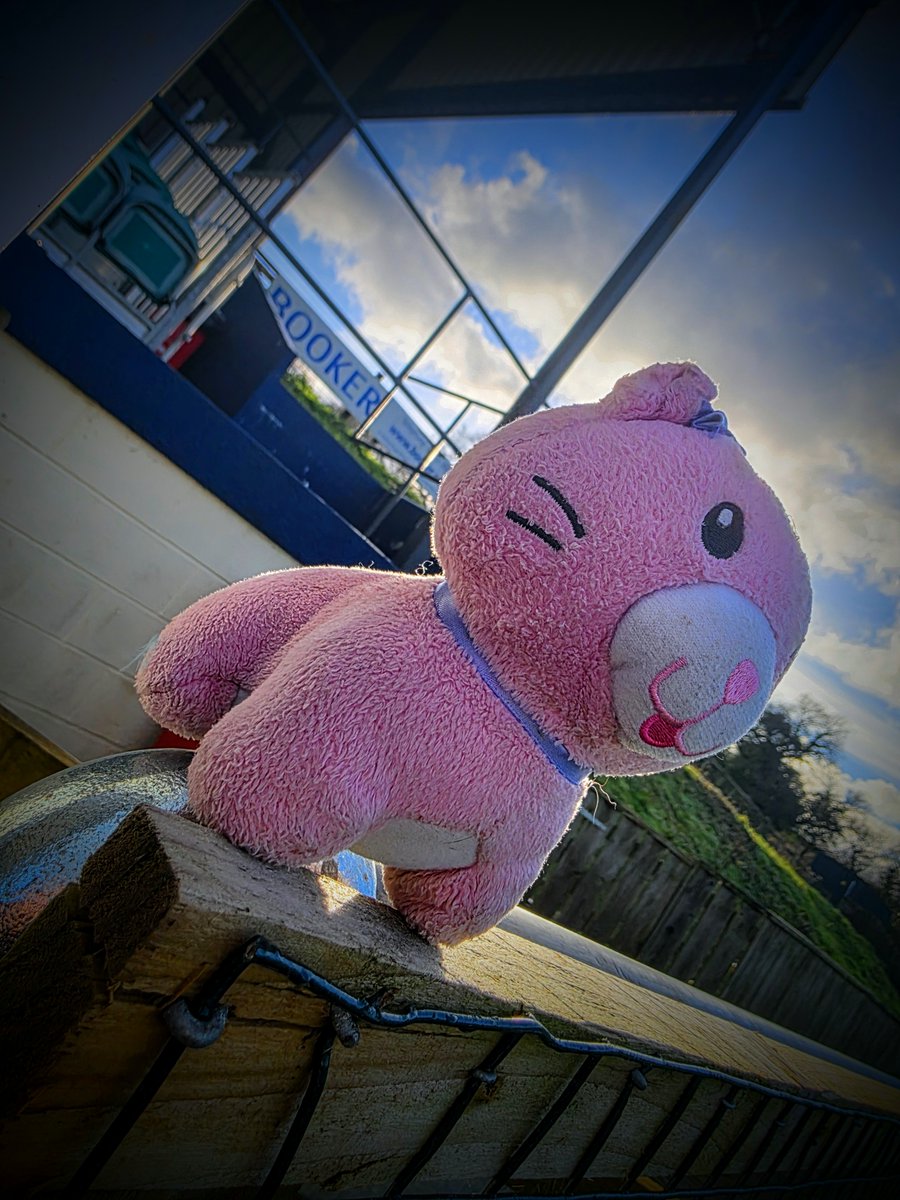 Barnstaple Town Football Club tweet media