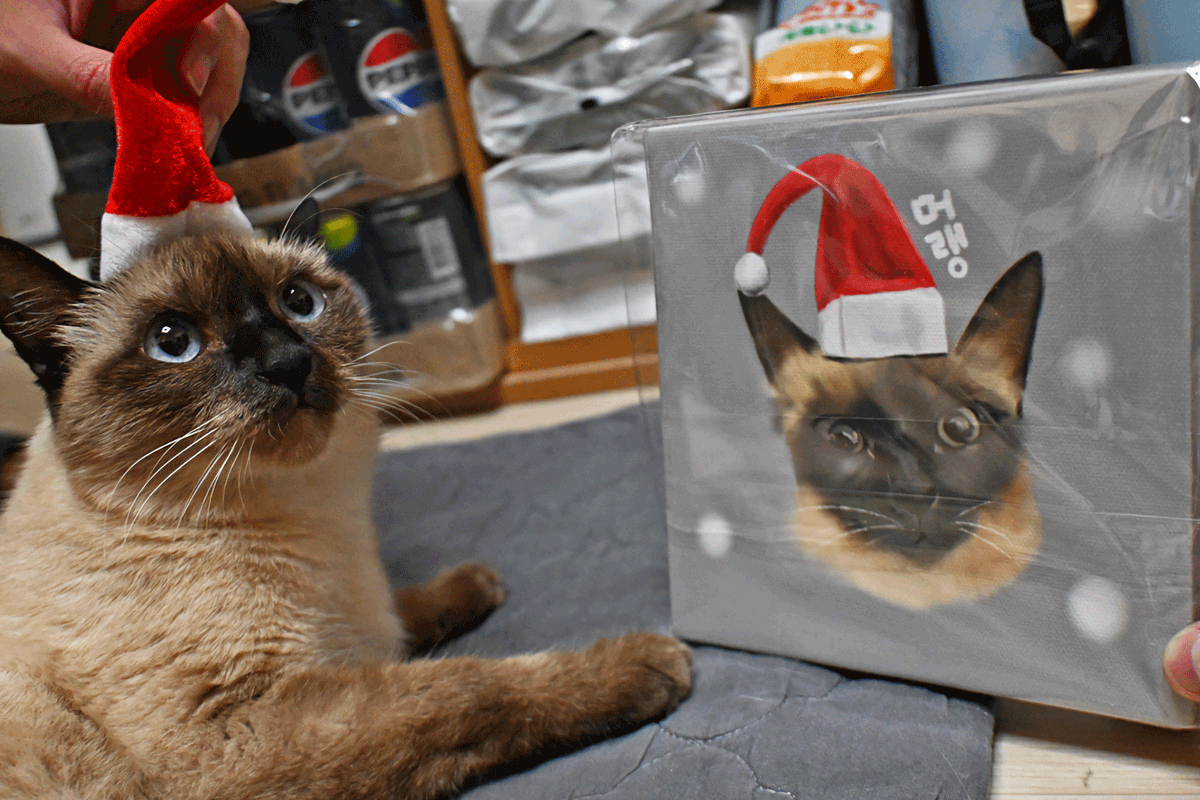 blacksea227's tweet image. 산타클로스 머랭이 너무 귀여워.