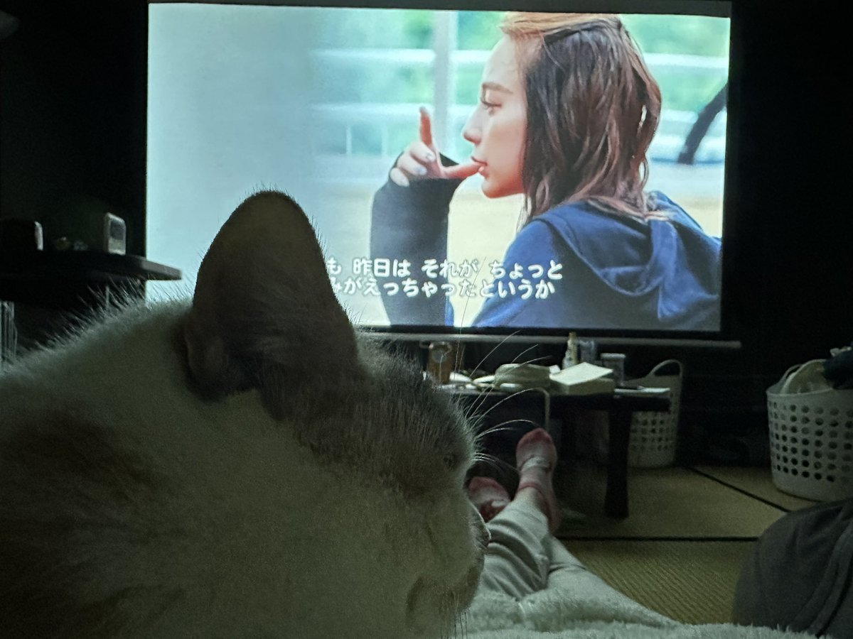 なつめページ VTuber「紙代なつめ」主演・主役のASMR付き新作ノベルゲーム『なつめ