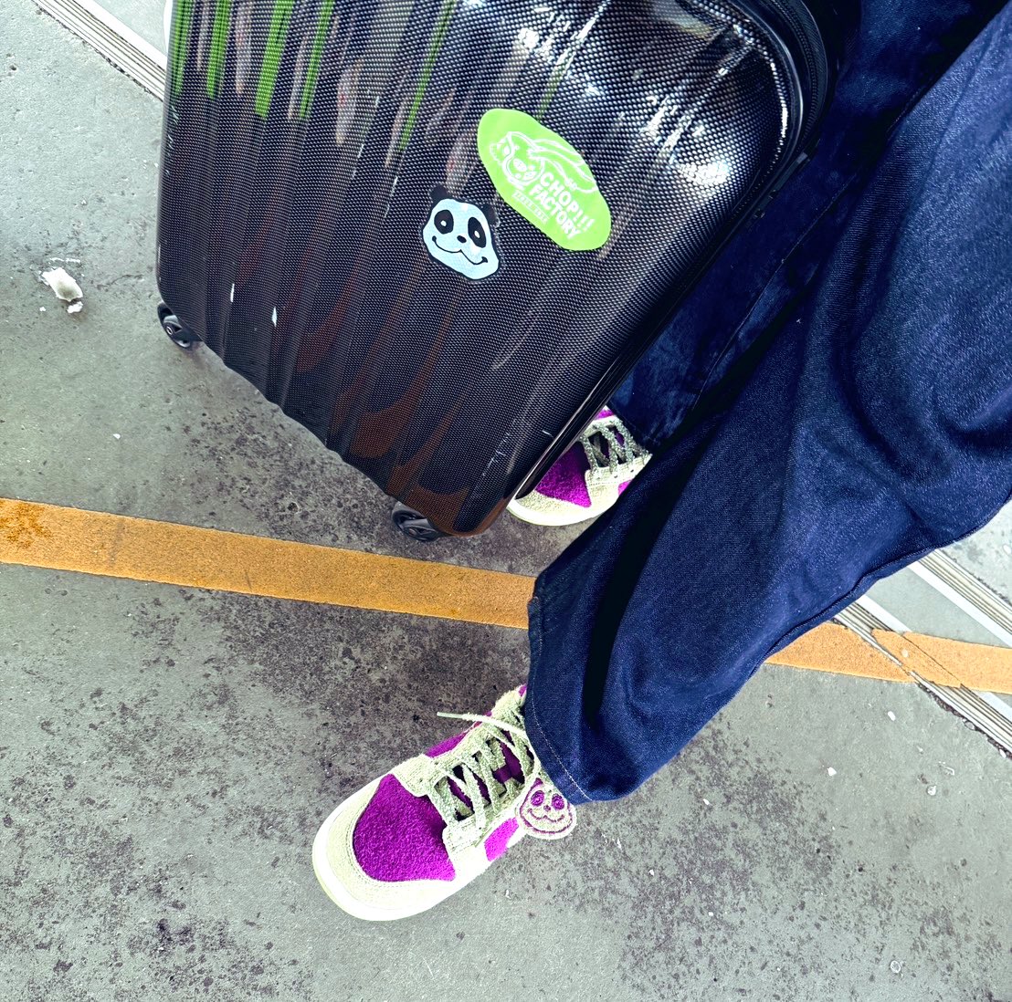 Post by よはくちゃん🍟🤍 on X: パンダちゃん🐼