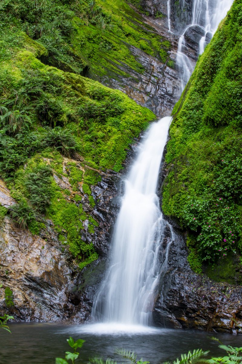 A little slice of heaven awaits.

Breathe in the calm of pristine rainforests and panoramic landscapes in the heart of Nyungwe National Park.

Book your flight to #Kamembe for a $99 return fare per person. 

Terms &amp; Conditions apply.

#FlyTheDreamOfAfrica #VisitRwanda