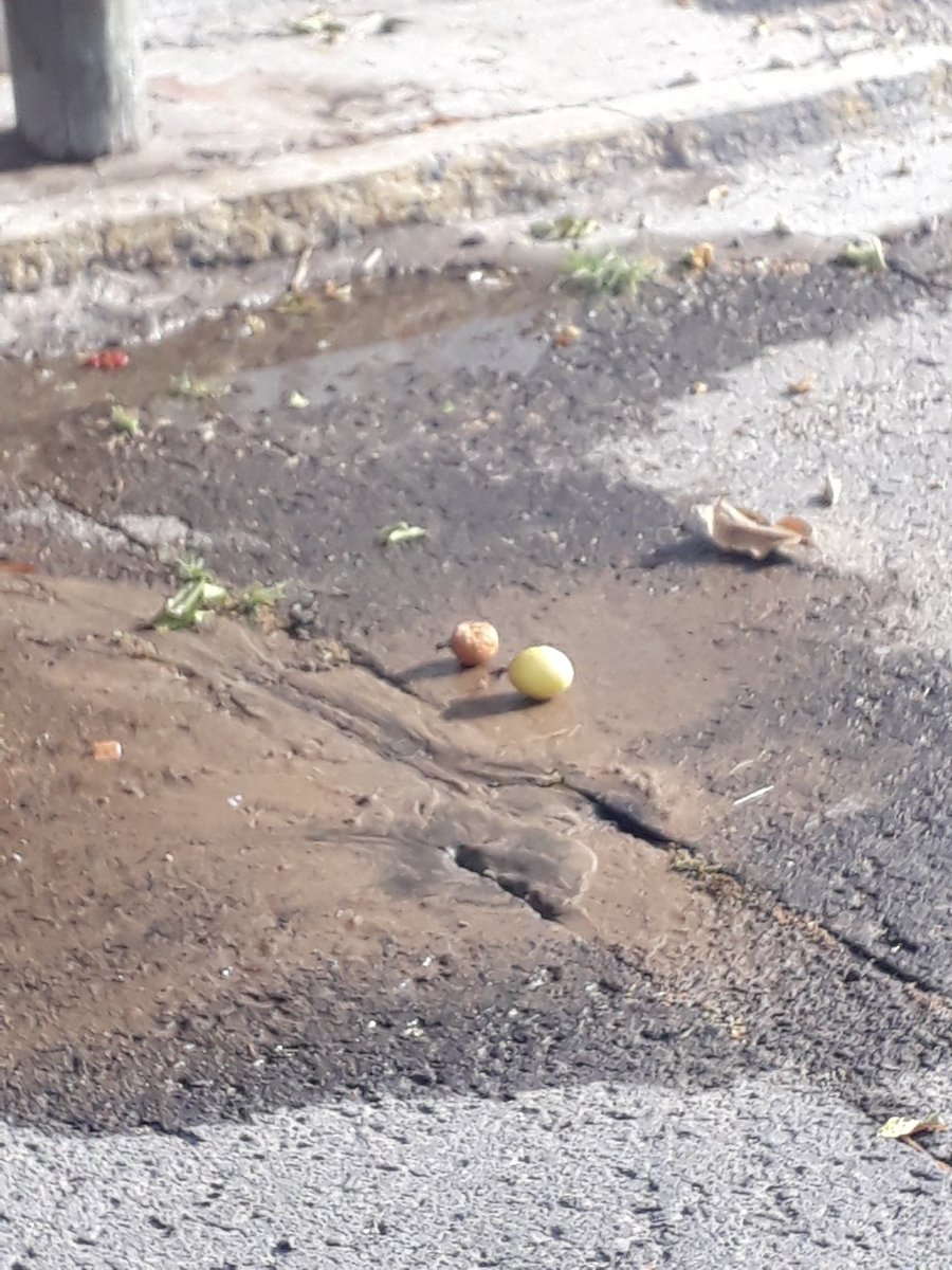 GLORIETTA_M's tweet photo. Reporte para reparar la fuga de agua en Calle 80-A Oriente entre Blvd. Ayuntamiento y Barranquilla, colonia Naciones Unidas. PUE, vía @GLORIETTA_M CC @SGyDU_Puebla @AguadePuebla @CICPue https://t.co/5Jab2TXkvP