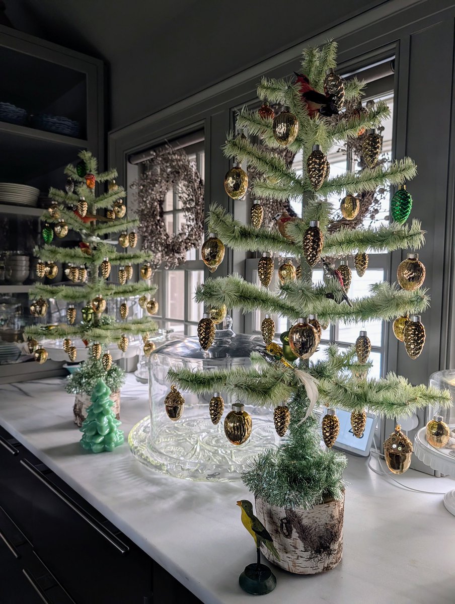 Martha Stewart (@MarthaStewart) / Posts / X, image size:904x1200