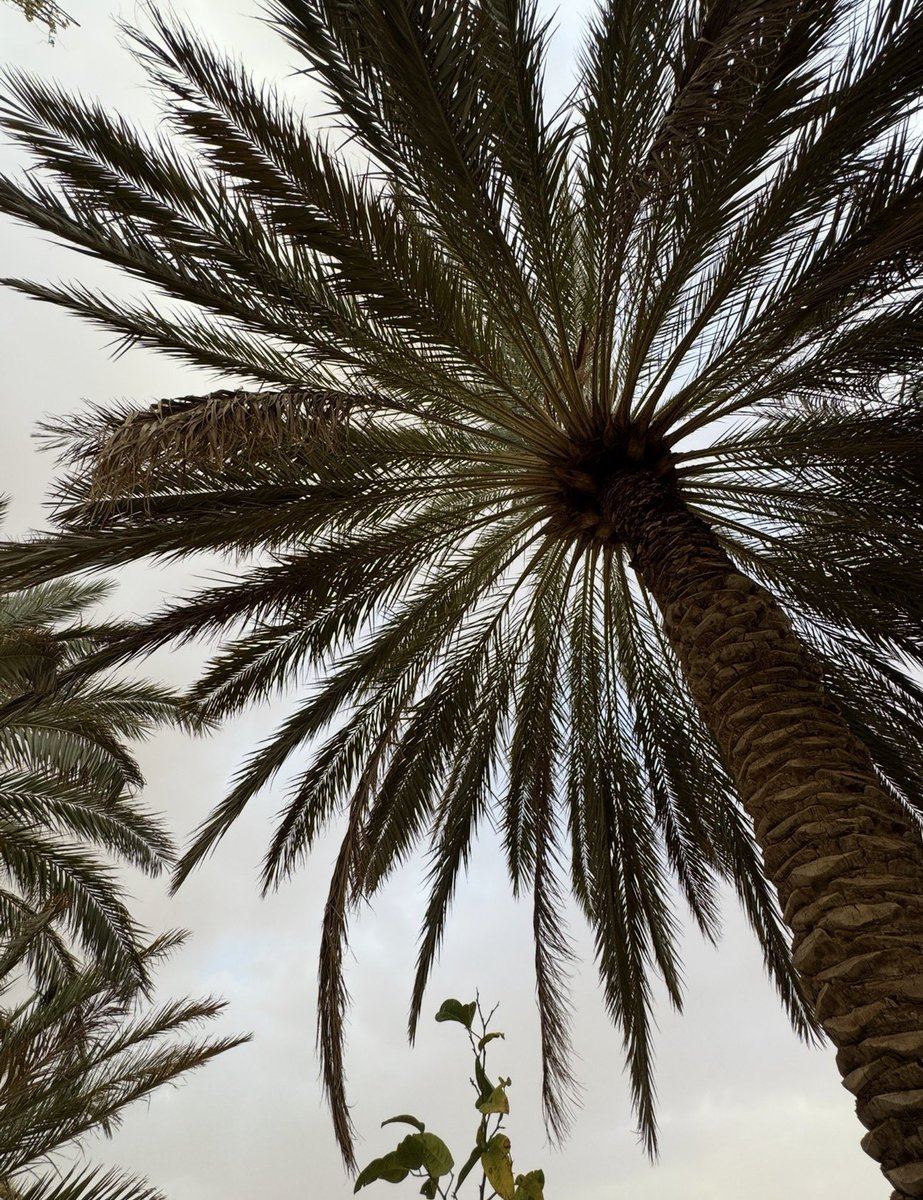 𝑴𝒂 tweet media