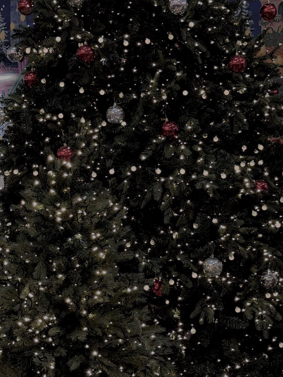 jayinfeb's tweet image. 내가 제일 좋아하는 겨울이야 ໒꒱ིྀ༝⁺