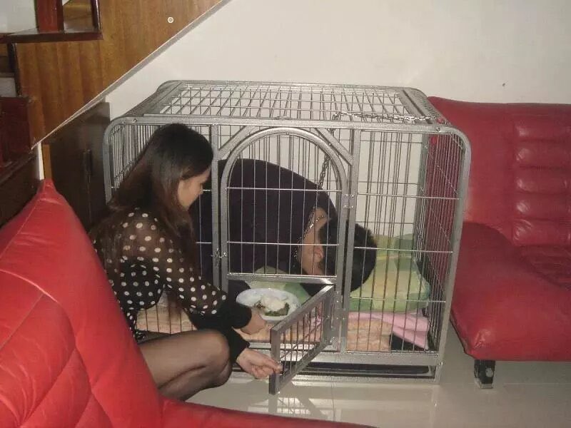 温厉夫妻主s tweet media