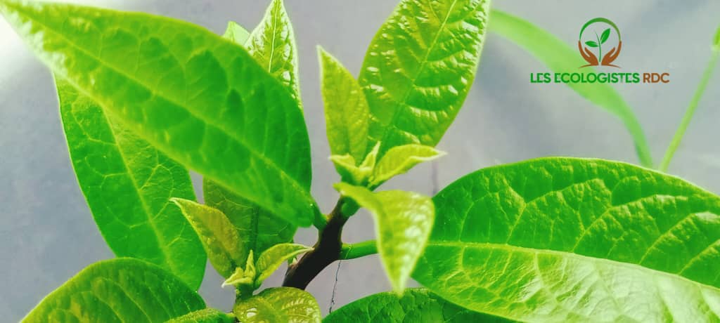 Notre #nature, notre #vie !