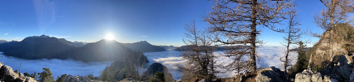 1 x Schoberstein musste dieses Jahr noch sein.