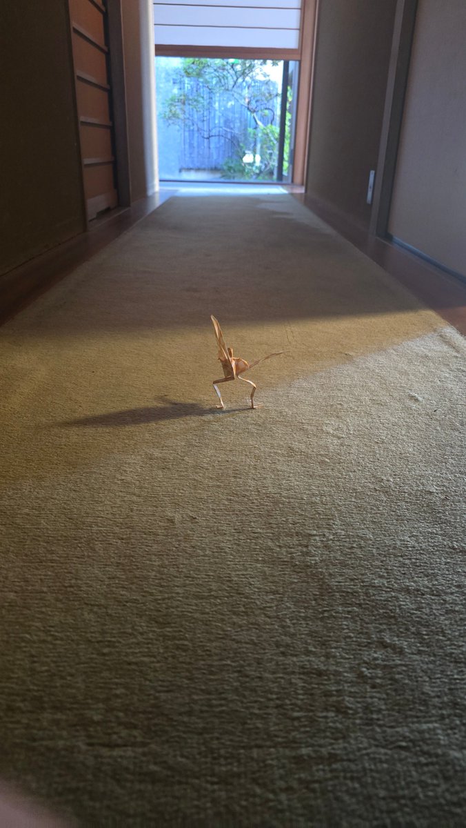 もうこれは本日のMVPですねwww