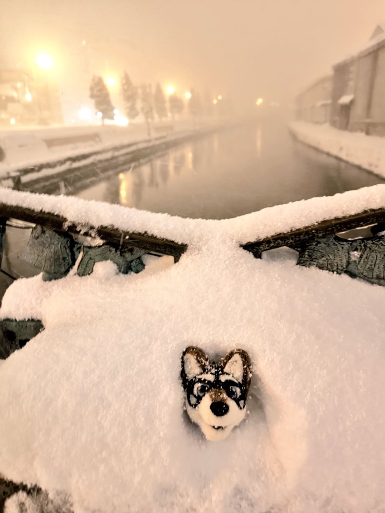 杜すいとん 行きたいところばっかし (@wolfmuzzle1) / Posts / X