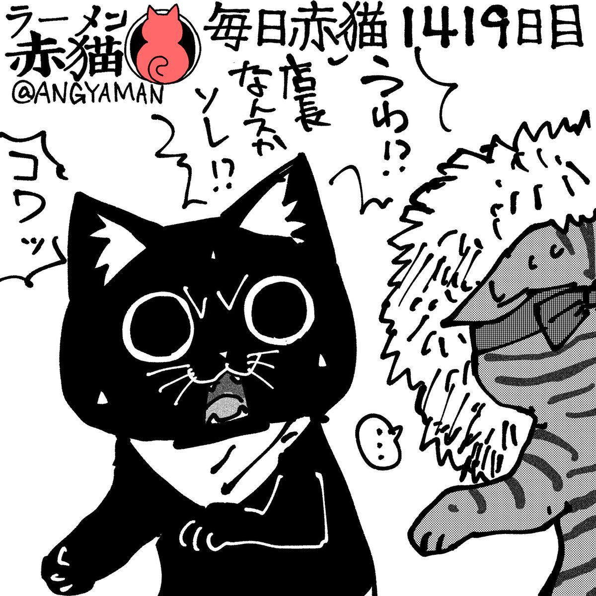 夢猫丸様　ご確認用