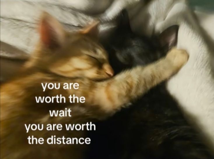 _mymsg's tweet image. 