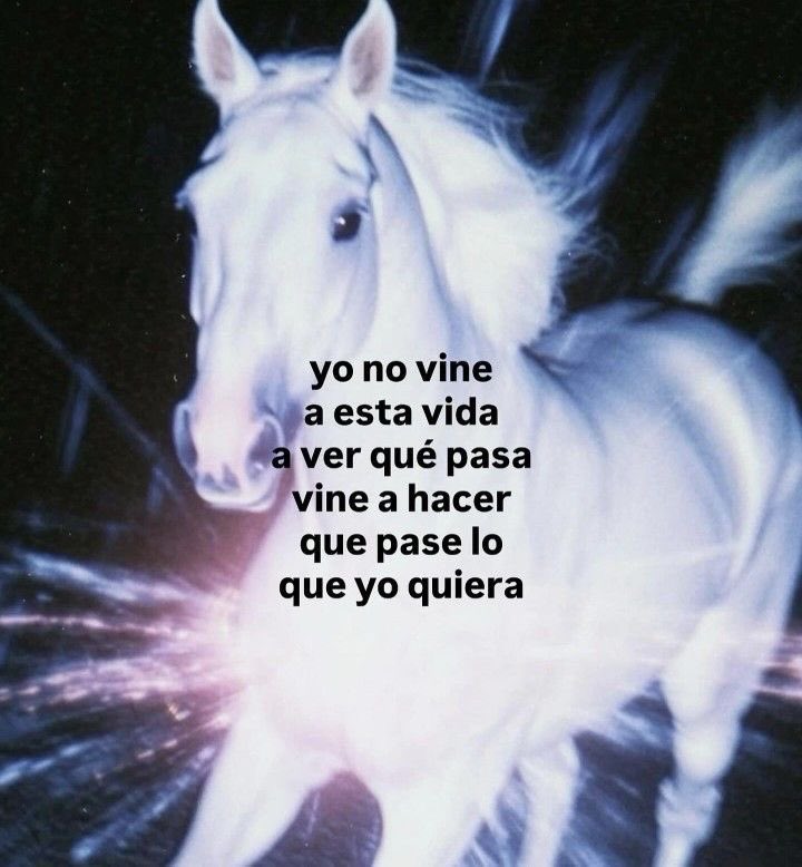 eriswitchtarot's tweet image. vibes de finde signos fijos: tauro, leo, escorpio y acuario