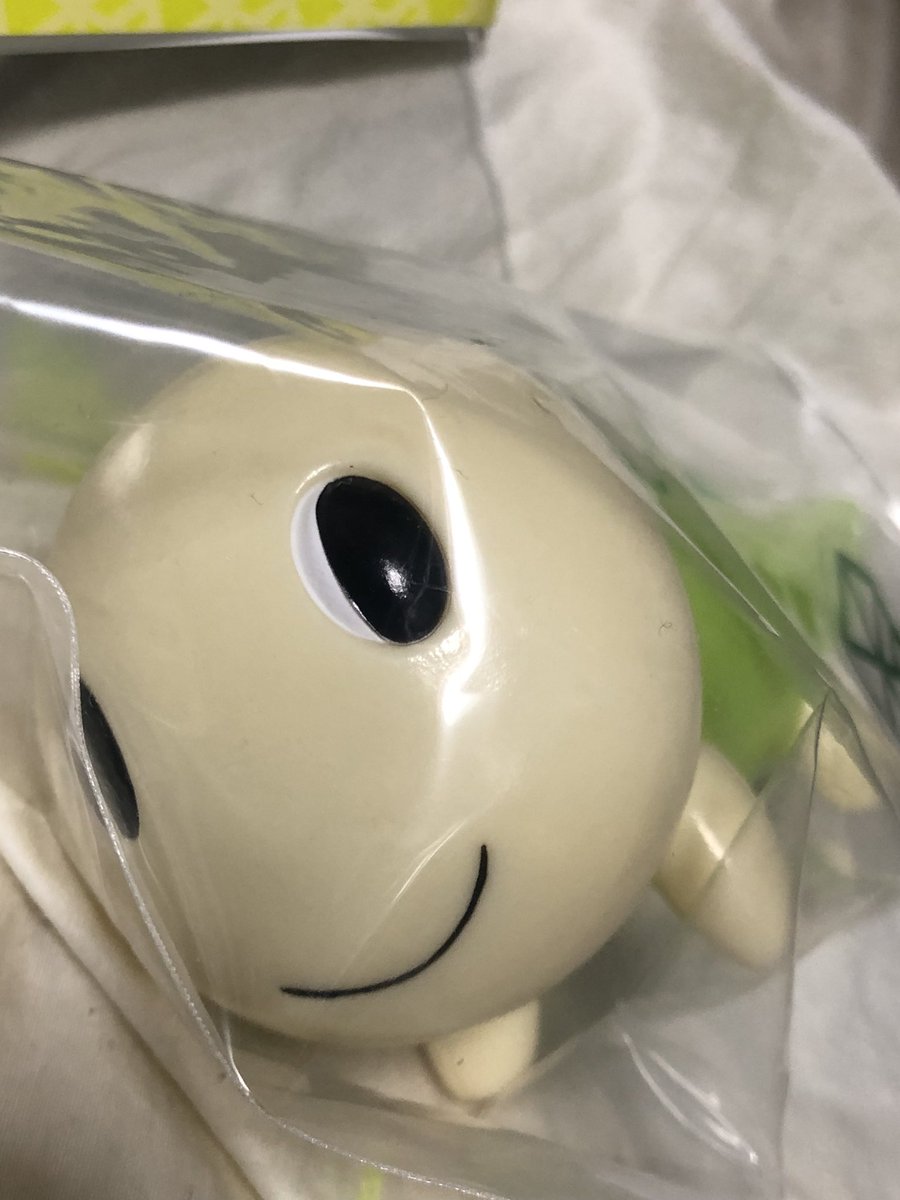 なみすけ🍎＆ナミー🌸 (@namisuke_nammy) / Posts / X