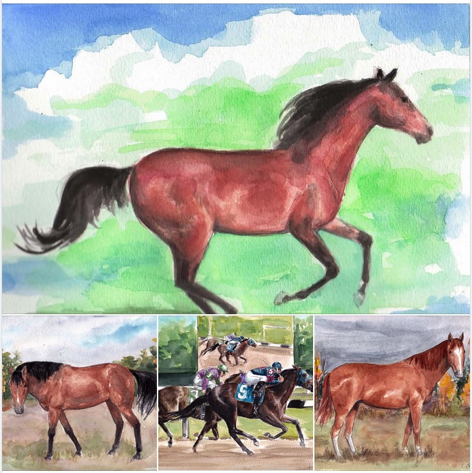 Happy National Day of the Horse. #theillustratedrat