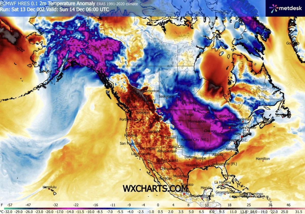 Peter Dynes tweet media