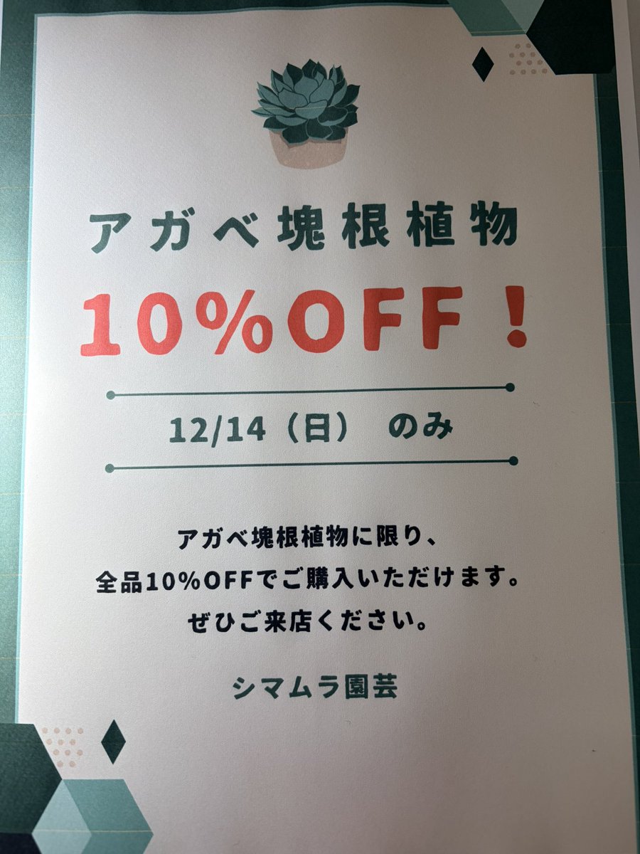 明日はシマムラ園芸第二売店にてプチ草乱祭が開催🔥
シマムラ園芸はアガベ塊根を10%OFFで販売します💪
ぜひご来店お待ちしてます！