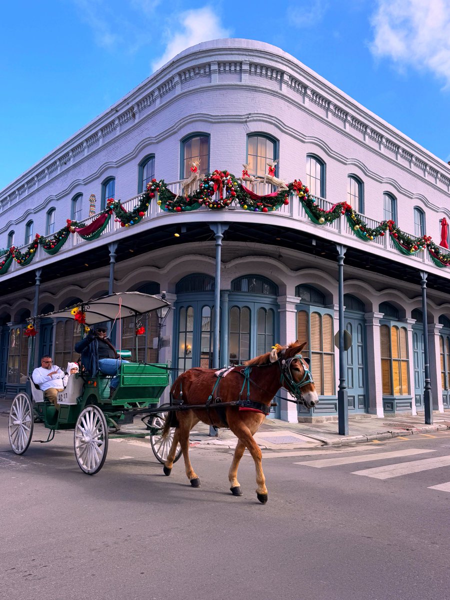 David Nola tweet media