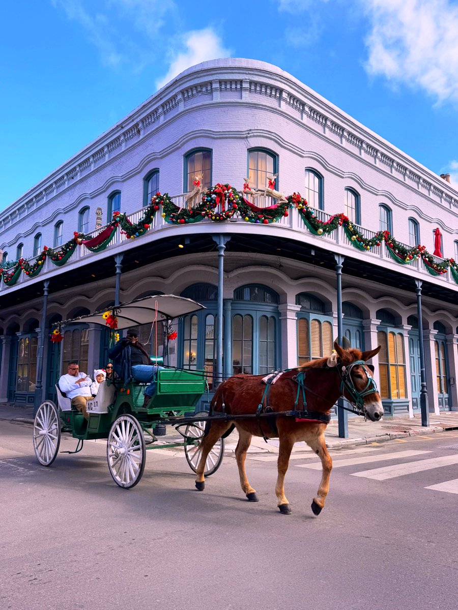 David Nola tweet media