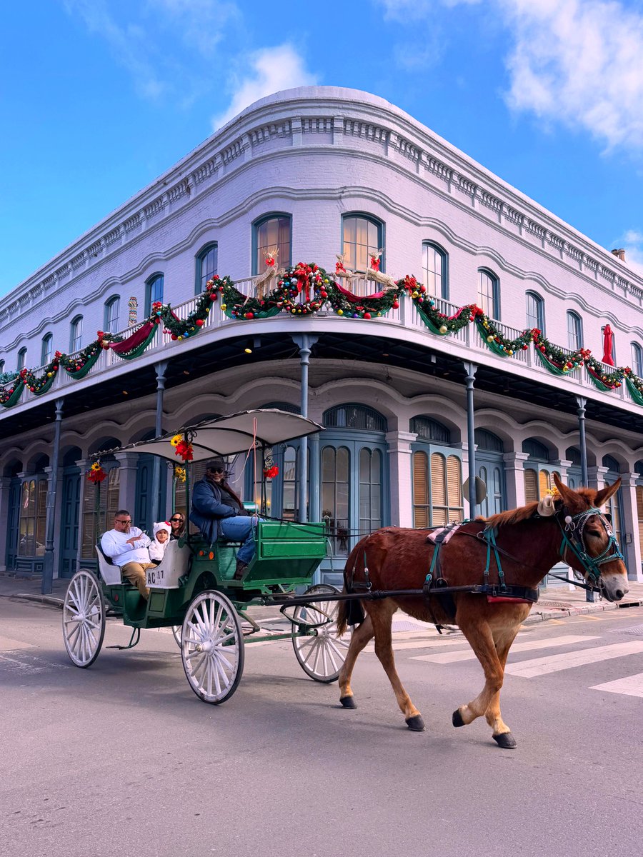 David Nola tweet media