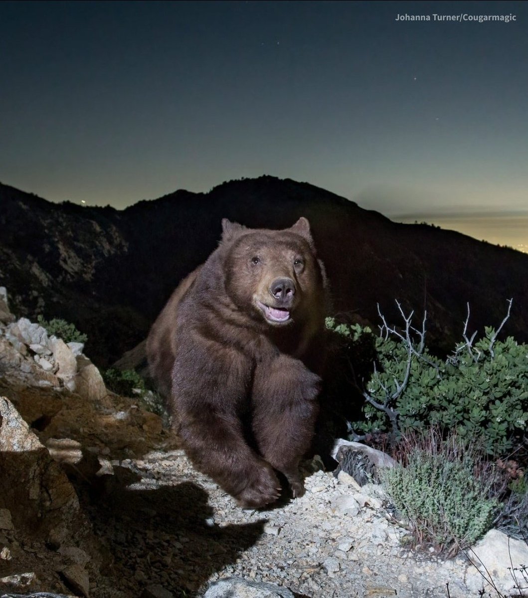 wydRxsh's tweet image. Say hii