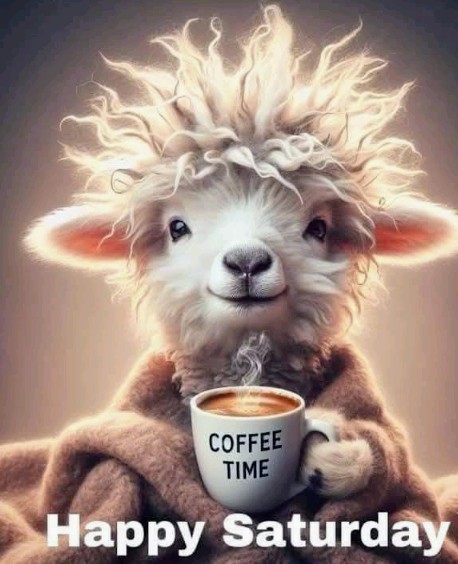 Happy Saturday!☕☕☕