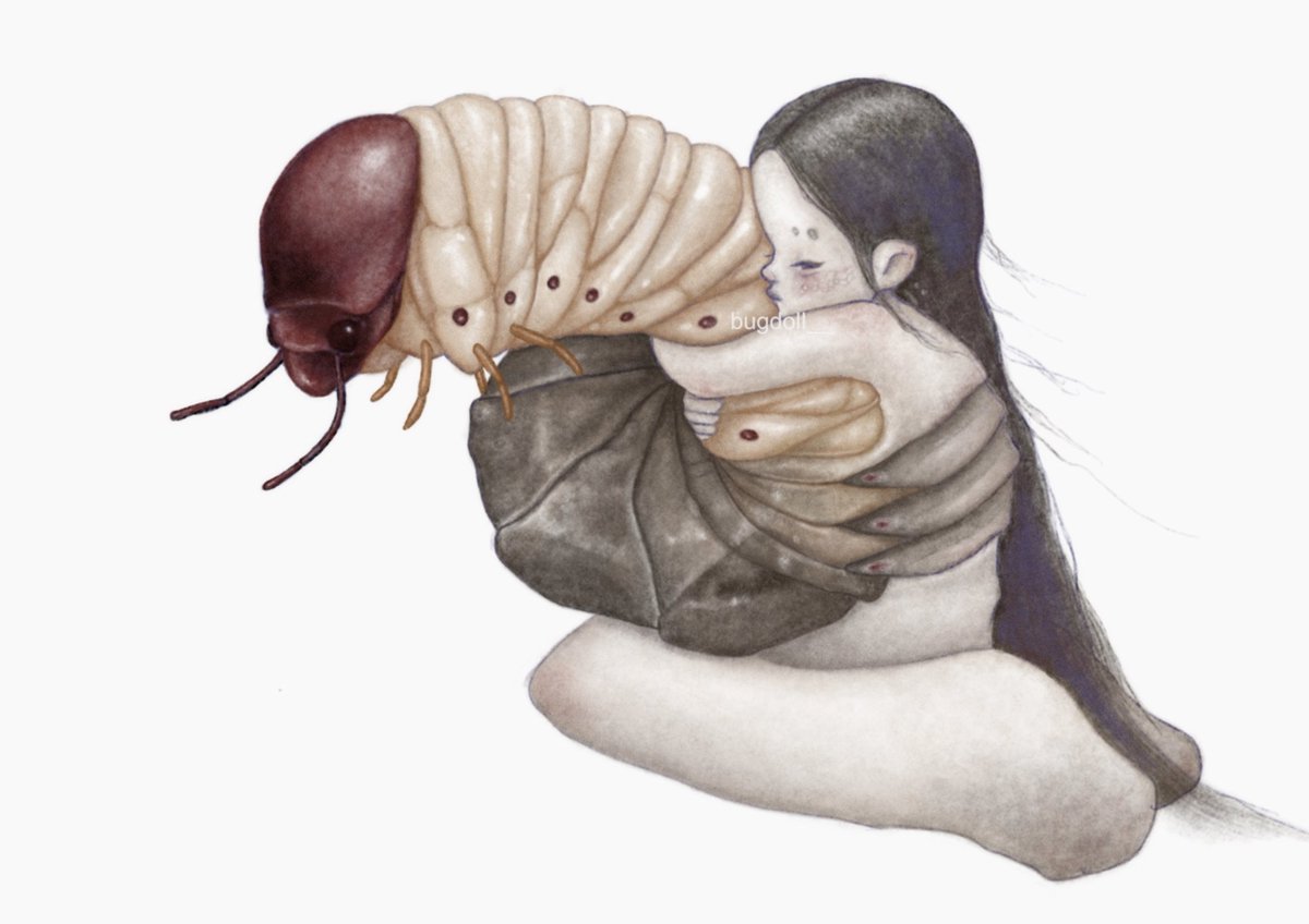 bugdoll__'s tweet image. lovebug