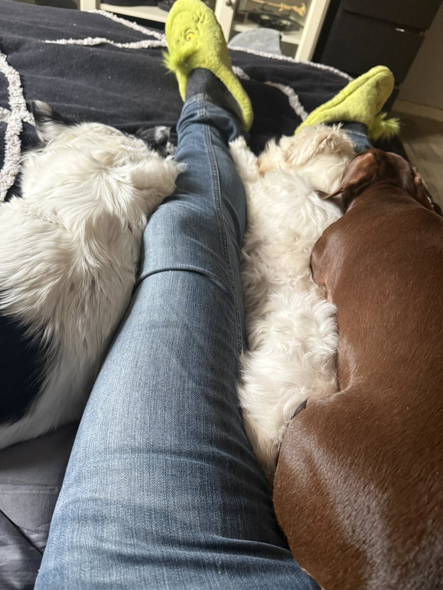 jaiden1981's tweet photo. Are Luna, Crystal and Ariaa clingy? Erm why do you ask? 
Yes I’m loving the slippers. 
@Ohdogoaway you can have the girls tonight x https://t.co/OWlePWHSza