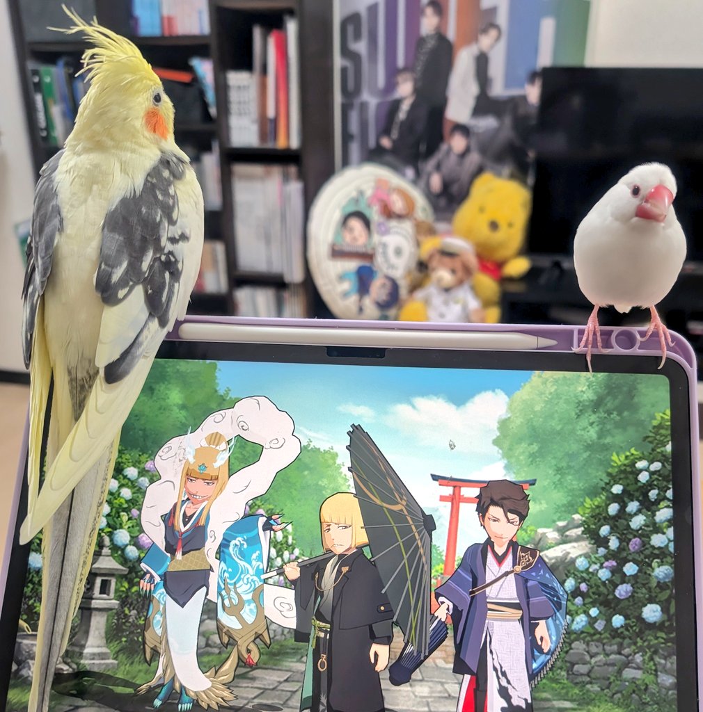 makotoさま専用ページです。 まこと (@makoto__72) / Posts / X