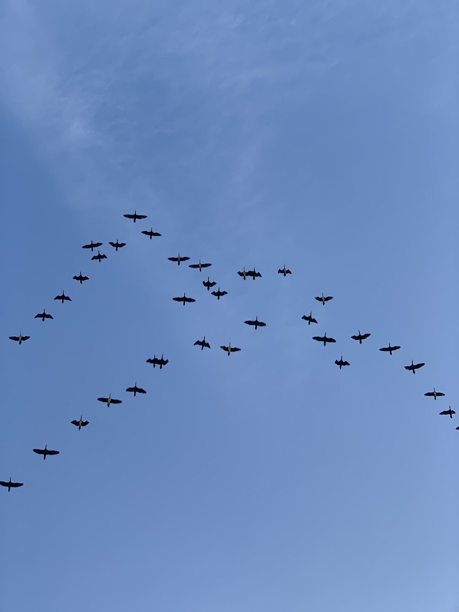 _Fay45's tweet image. هِجرة ✨🤍